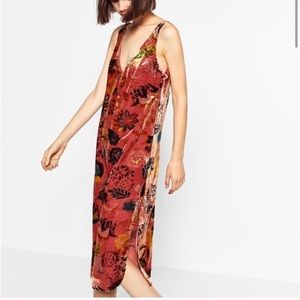 Zara Velvet Shift Midi Dress